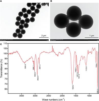 Polystyrene microplastics alter bioaccumulation, and physiological and histopathological toxicities of cadmium in the polychaete Perinereis aibuhitensis